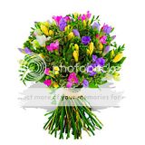 th_freesias_bouquet.jpg
